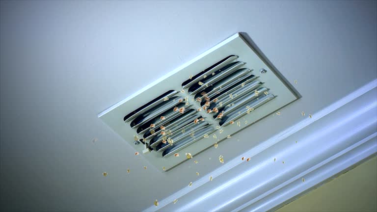 Best Emergency Air Duct Cleaning  in Roselle, IL