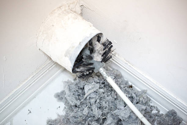 Best Affordable HVAC Duct Cleaning  in Roselle, IL