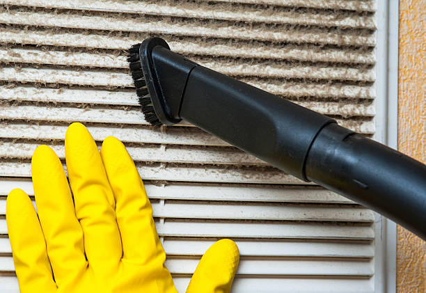 Best HVAC Air Duct Cleaning  in Roselle, IL